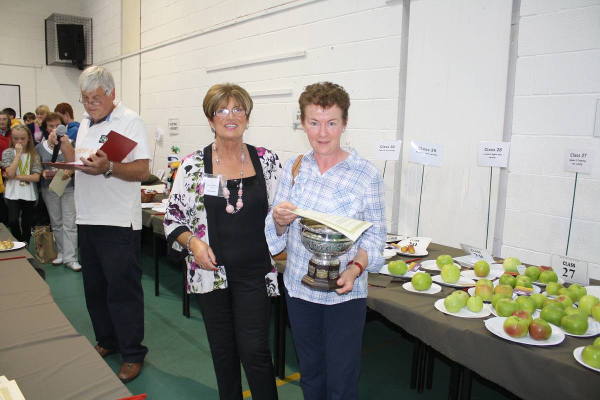 ../Images/Horticultural Show in Bunclody 2014--144.jpg